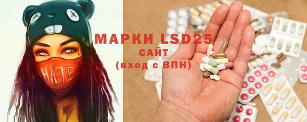 шишки Баксан