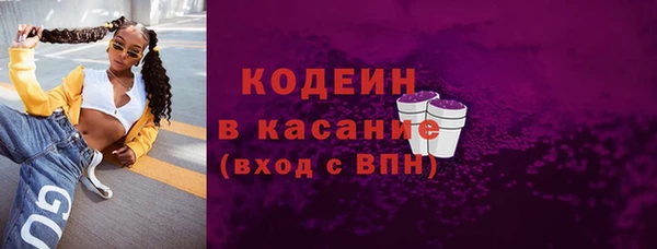 шишки Баксан