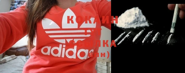шишки Баксан