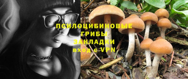 крисы Балабаново