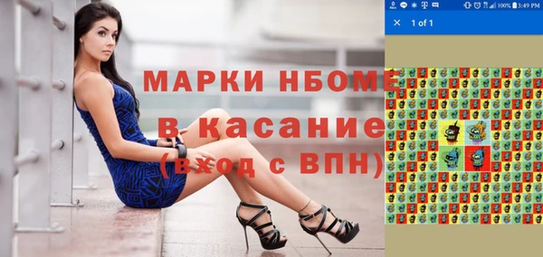 шишки Баксан