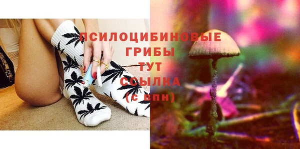 шишки Баксан