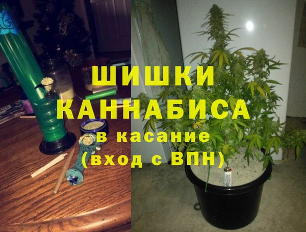 шишки Баксан