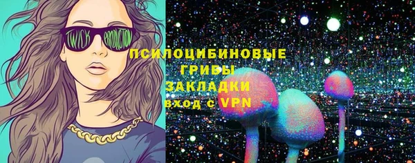 шишки Баксан