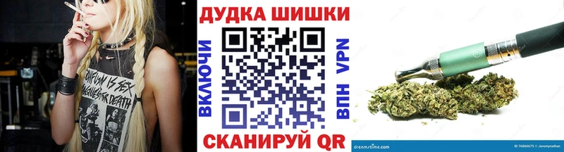 где можно купить   Горнозаводск  Конопля ГИДРОПОН 